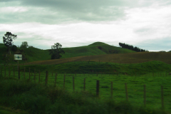 DSC01078