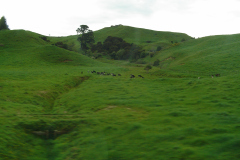 DSC01081