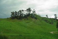 DSC01083