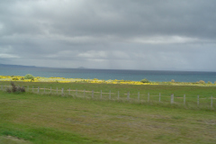DSC01097