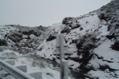 DSC01147