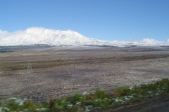 DSC01204