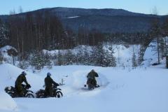 Artic-b