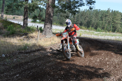 2018-07-14_262-Orginal