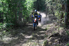 2018-07-14_384-Orginal