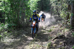 2018-07-14_385-Orginal